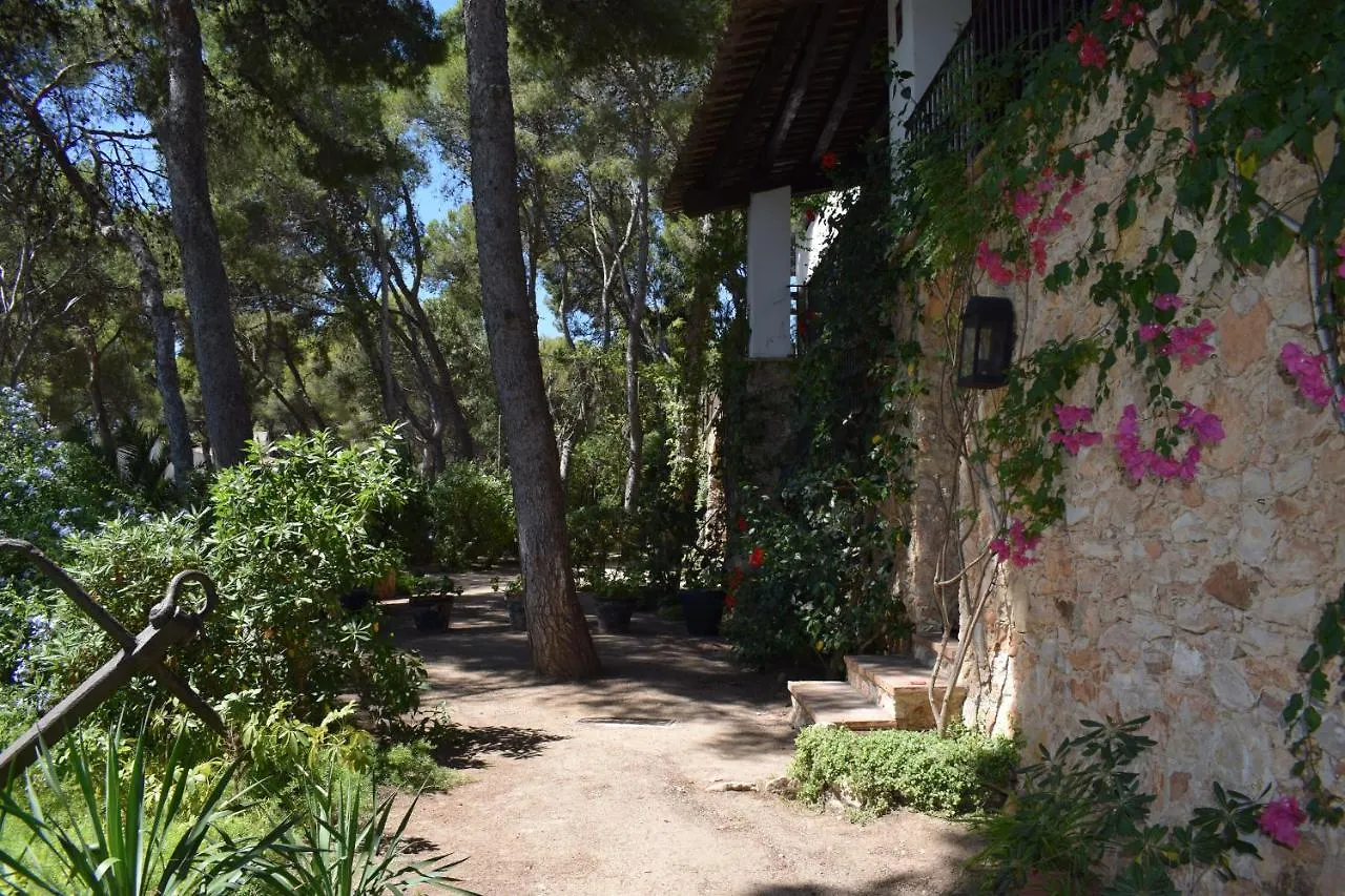 L'Ancora De Bara Hotel Roda de Bera 0*,  Spain